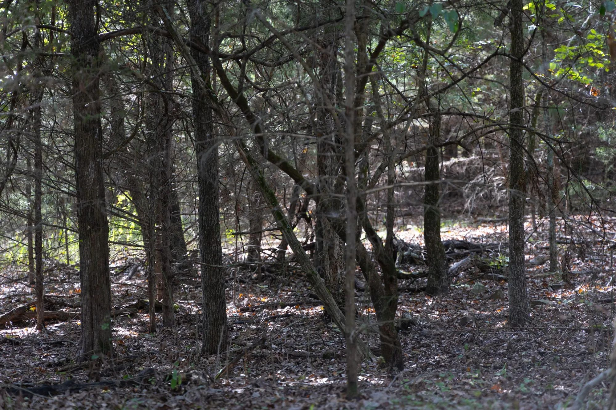Reserves At Cattail Cove Phase II Tract 44 in Pittsburg County, OK
