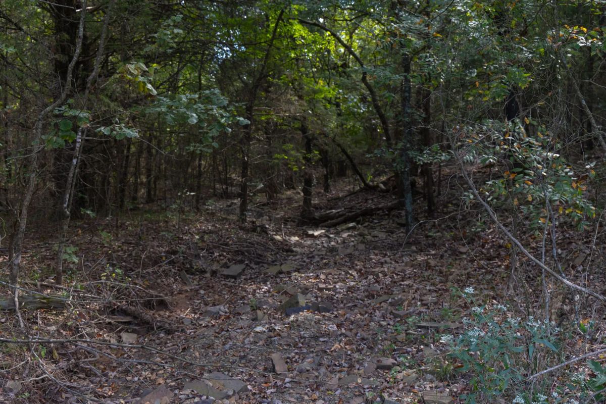 Decorative background for Reserves At Cattail Cove Phase II Tract 44 image 5