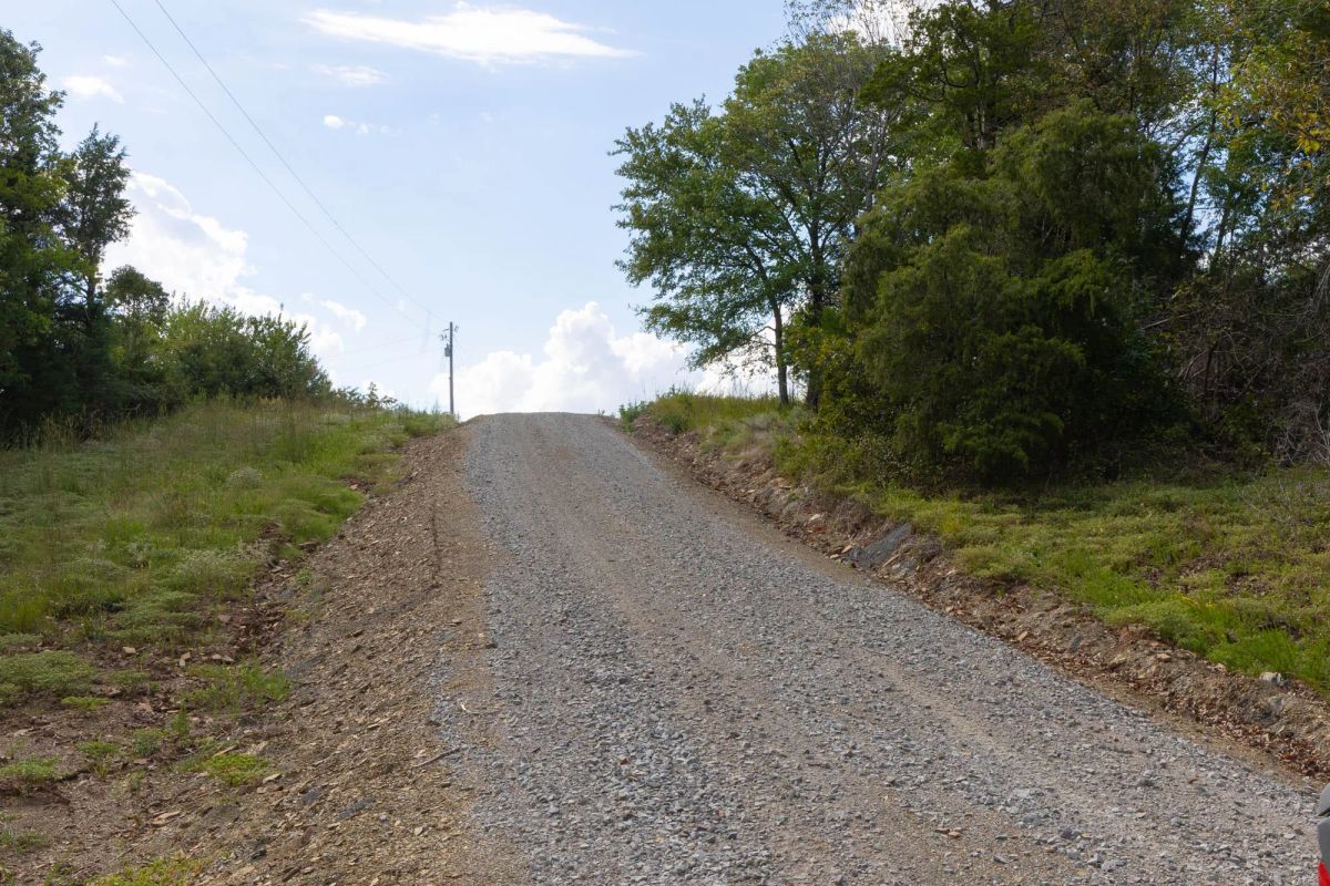 Decorative background for Reserves At Cattail Cove Phase II Tract 44 image 6