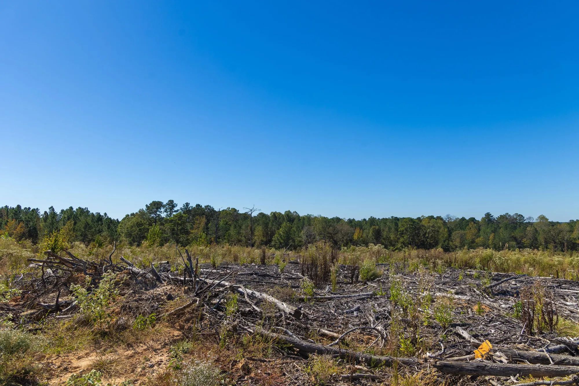 Meyer’s Ridge Tract 5 in Attala County, MS