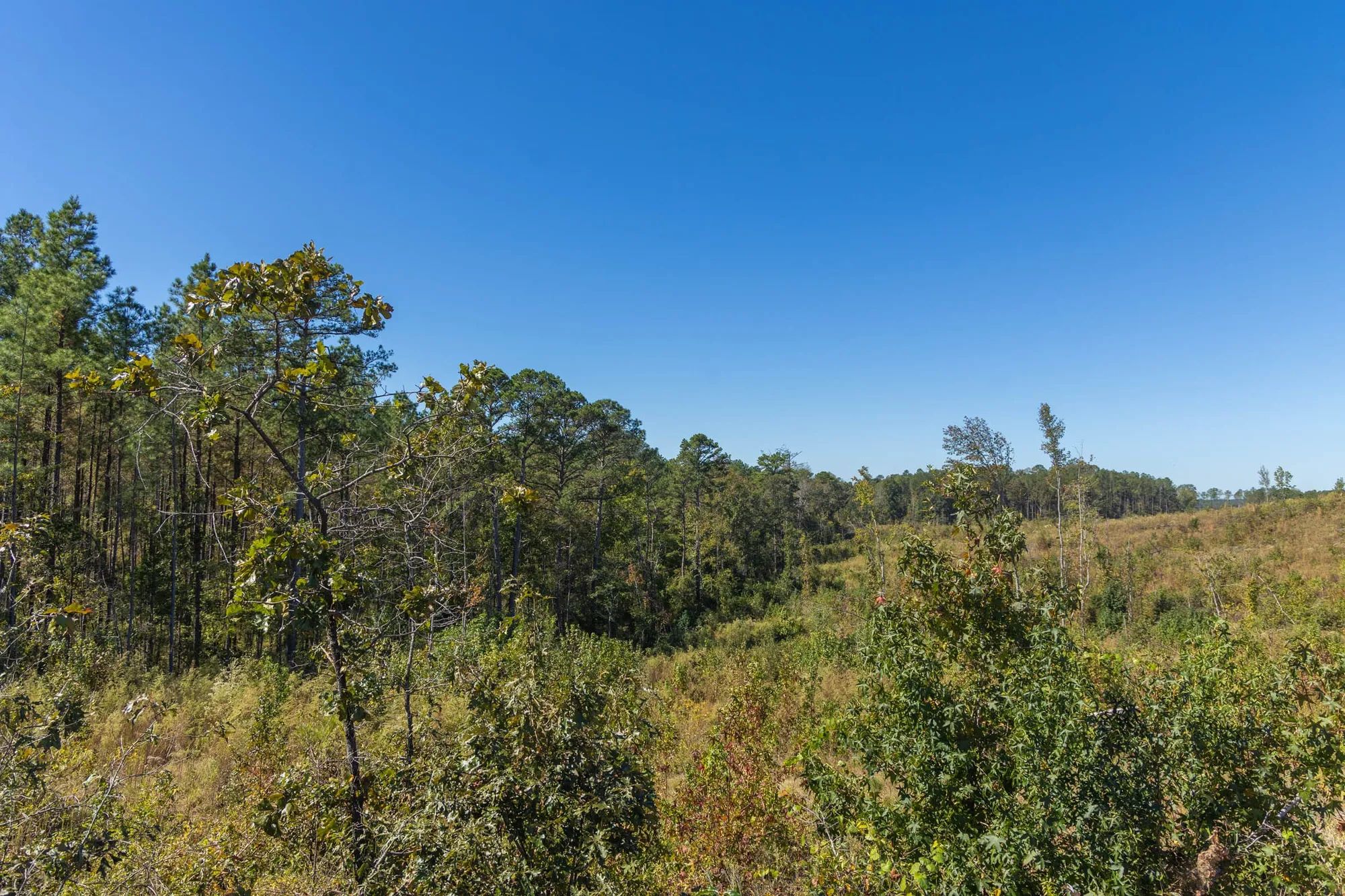 Meyer’s Ridge Tract 5 in Attala County, MS