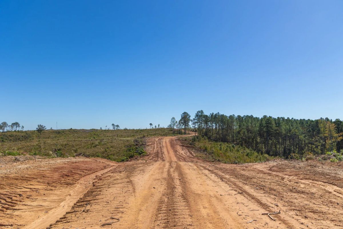 Decorative background for Meyer’s Ridge Tract 5 image 7
