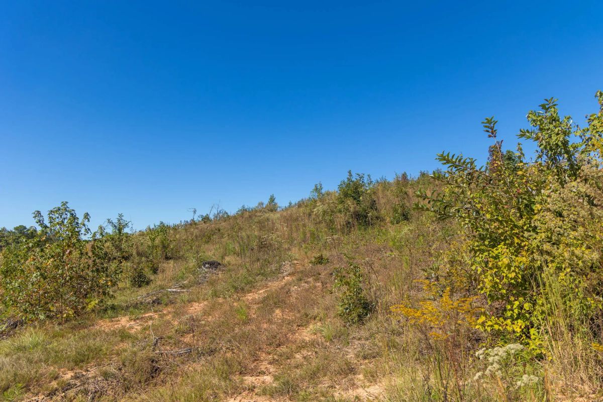 Decorative background for Meyer’s Ridge Tract 5 image 8