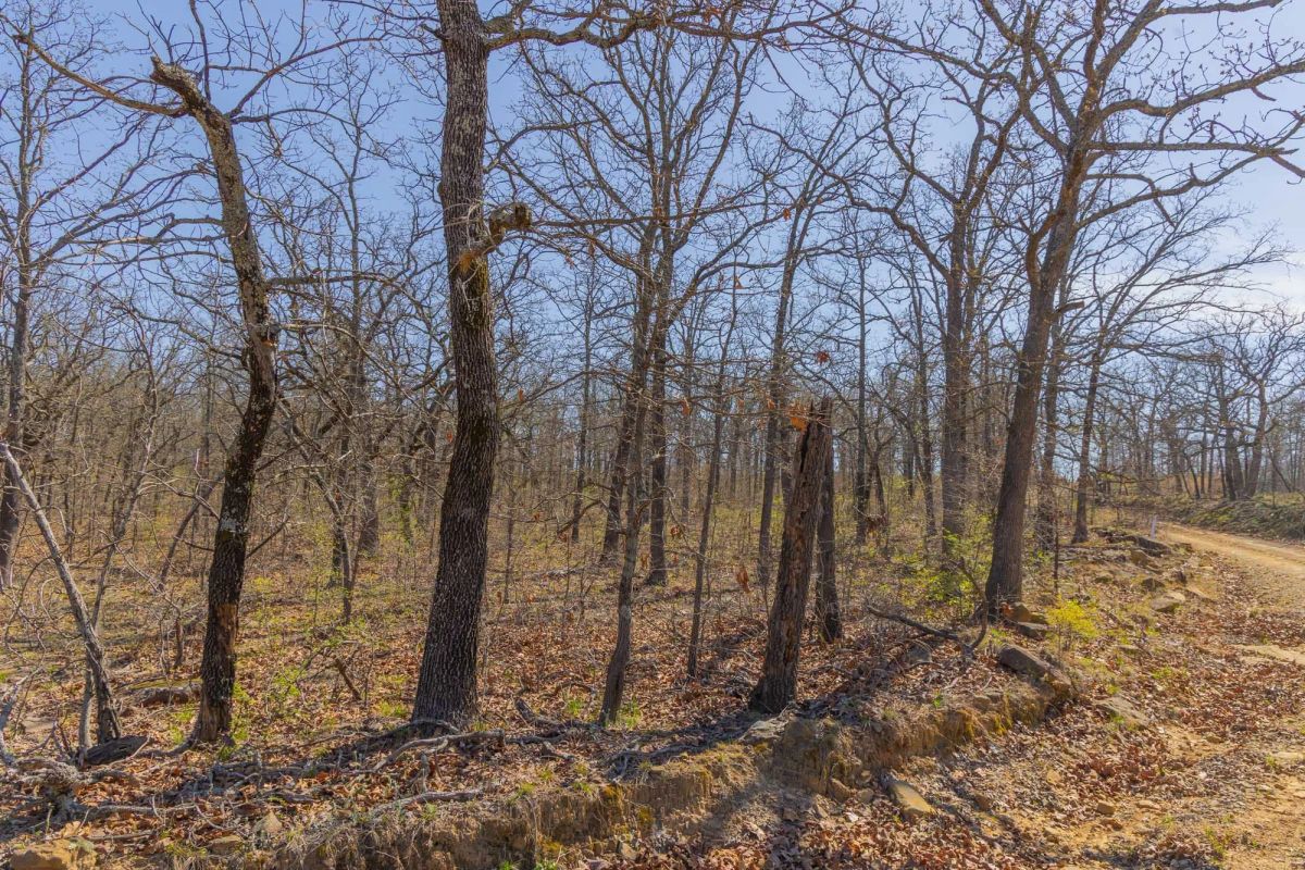 JLH Estates Tract 15 - Image 4