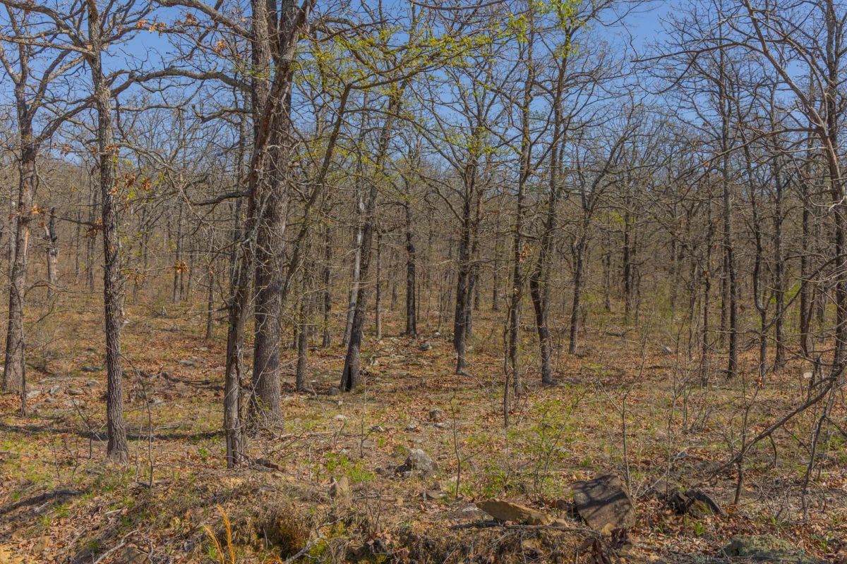 Decorative background for JLH Estates Tract 15 image 9