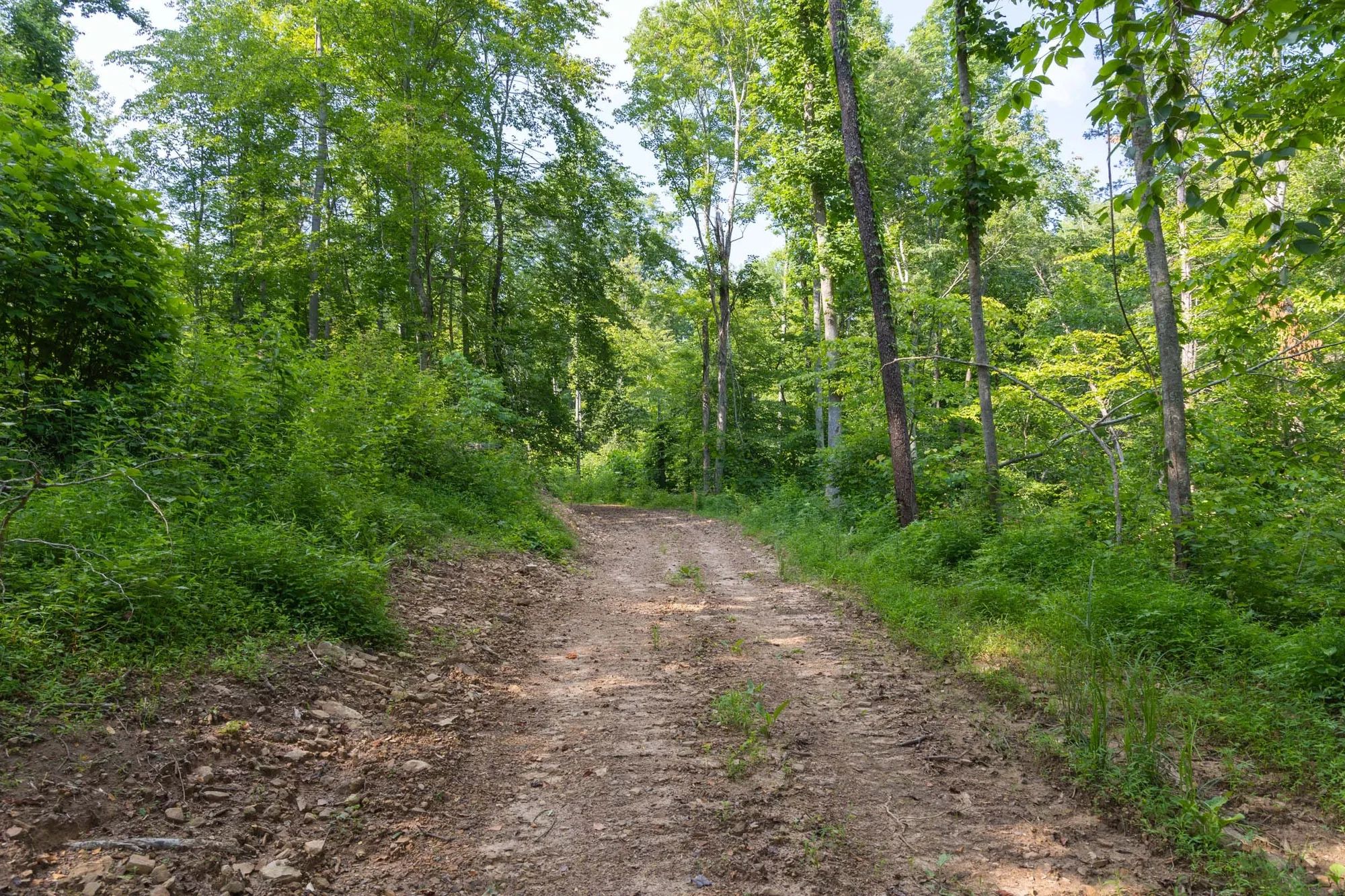 Creek Hollow Phase II Tract 80 in Rockcastle County, KY