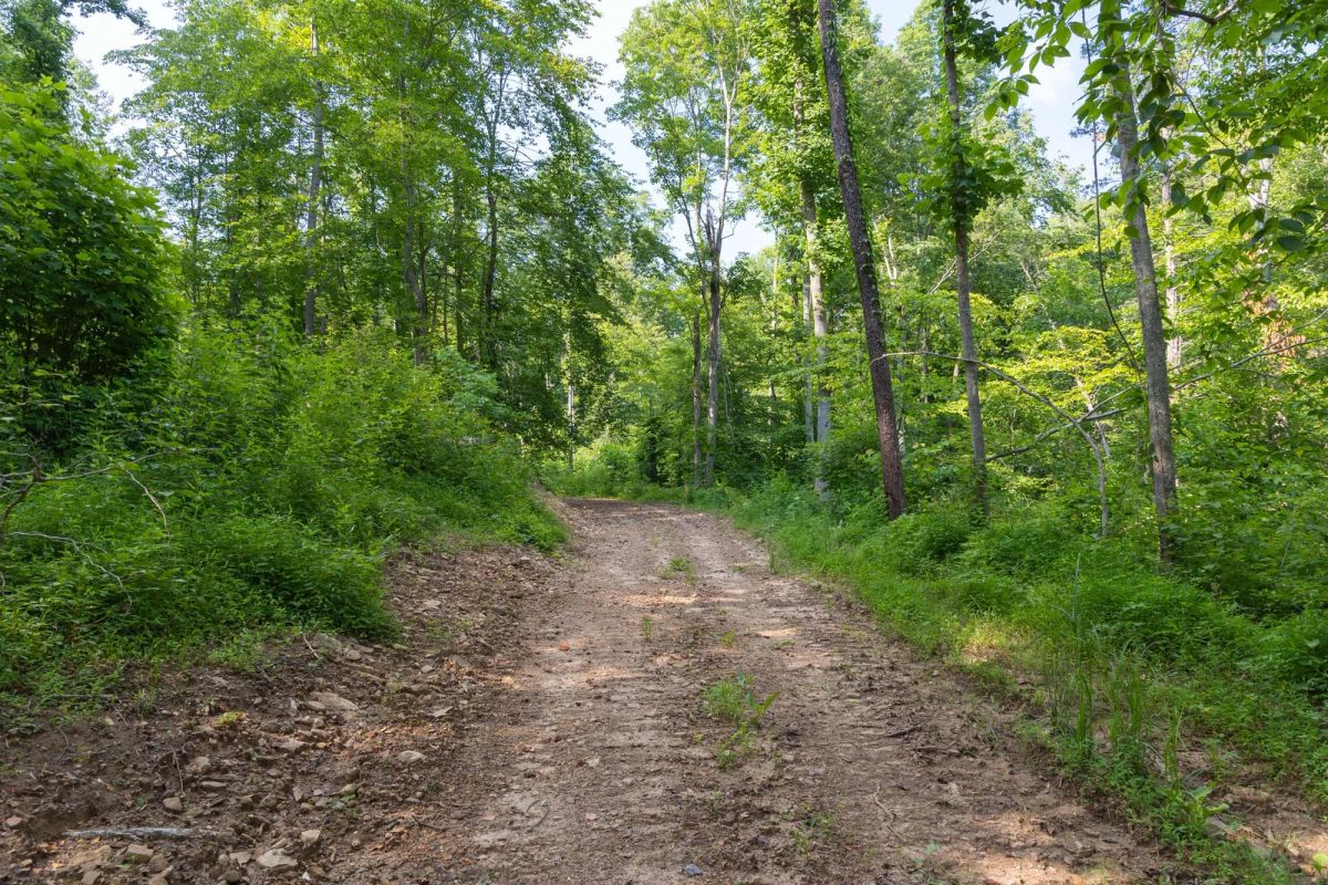 Creek Hollow Phase II Tract 80 - Image 2