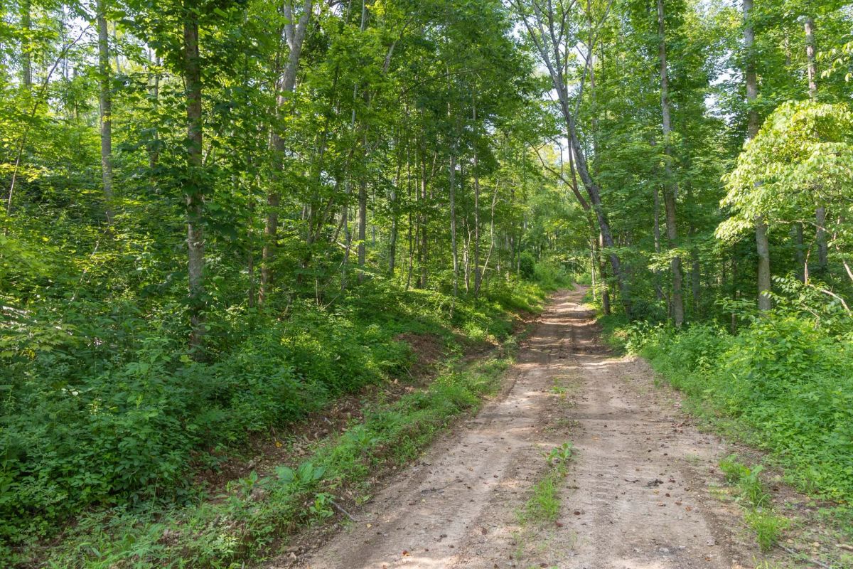 Creek Hollow Phase II Tract 80 - Image 3