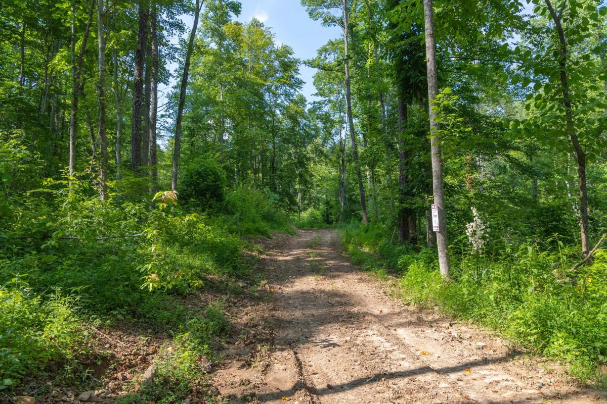 Decorative background for Creek Hollow Phase II Tract 80 image 9