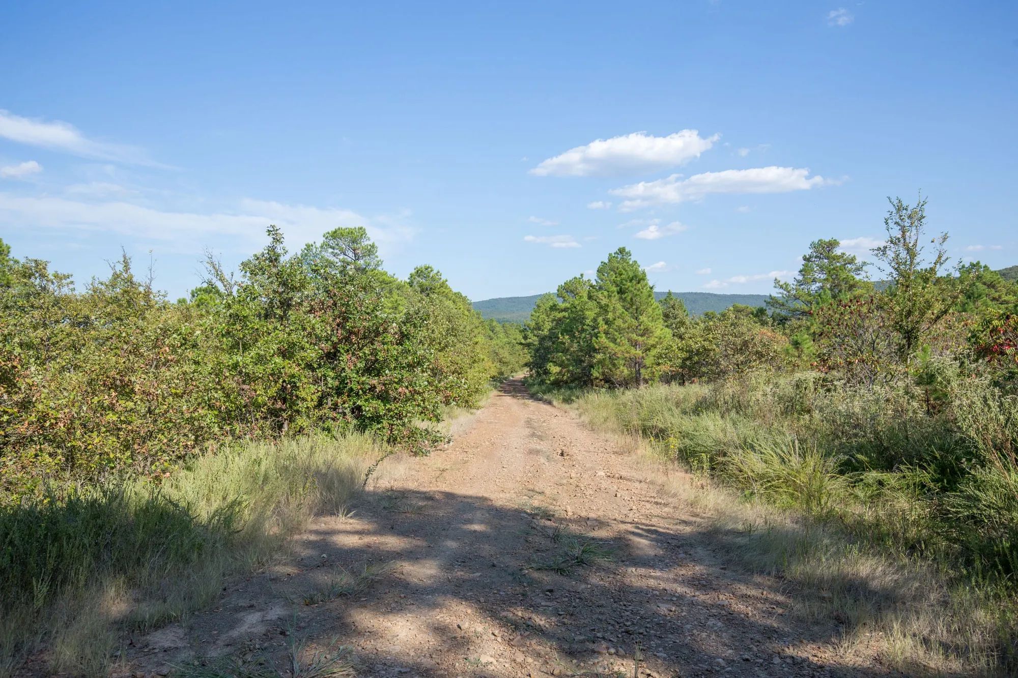 Stone Bridge Phase I Tract 56