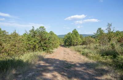 Stone Bridge Phase I Tract 56