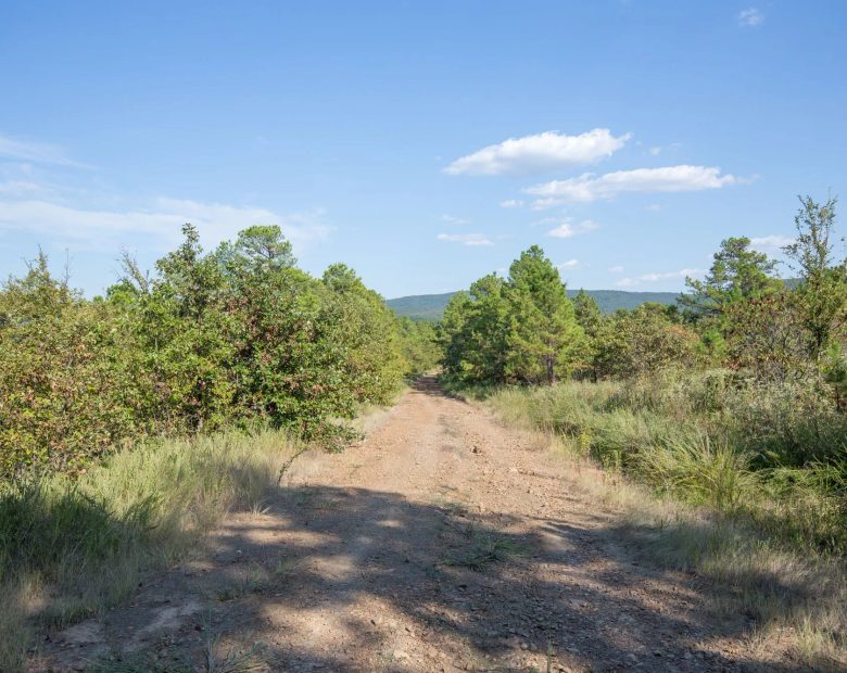 Stone Bridge Phase I Tract 56 in Latimer County, OK