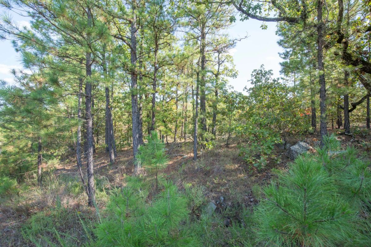 Decorative background for Stone Bridge Phase I Tract 56 image 8