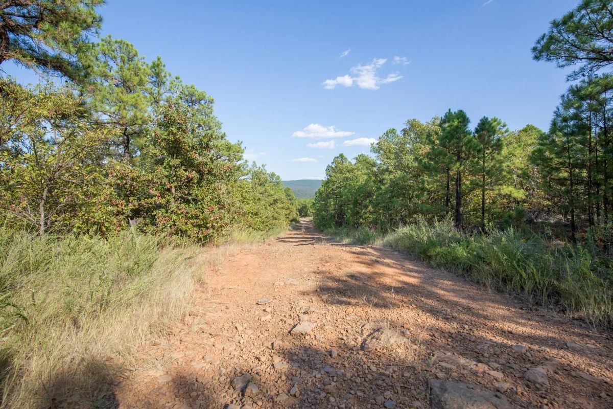 Decorative background for Stone Bridge Phase I Tract 56 image 11