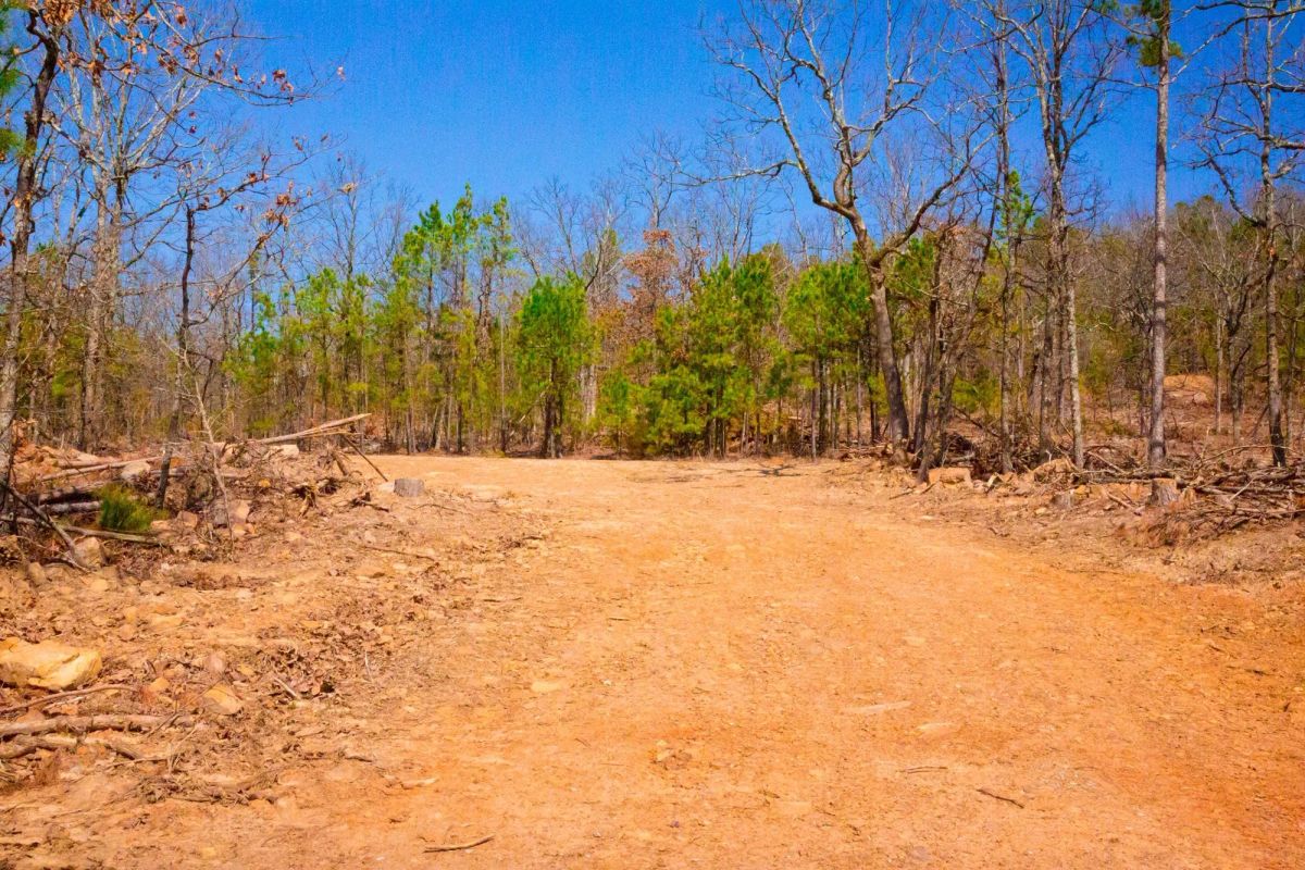 Stone Creek Phase II Tract 116 - Main image