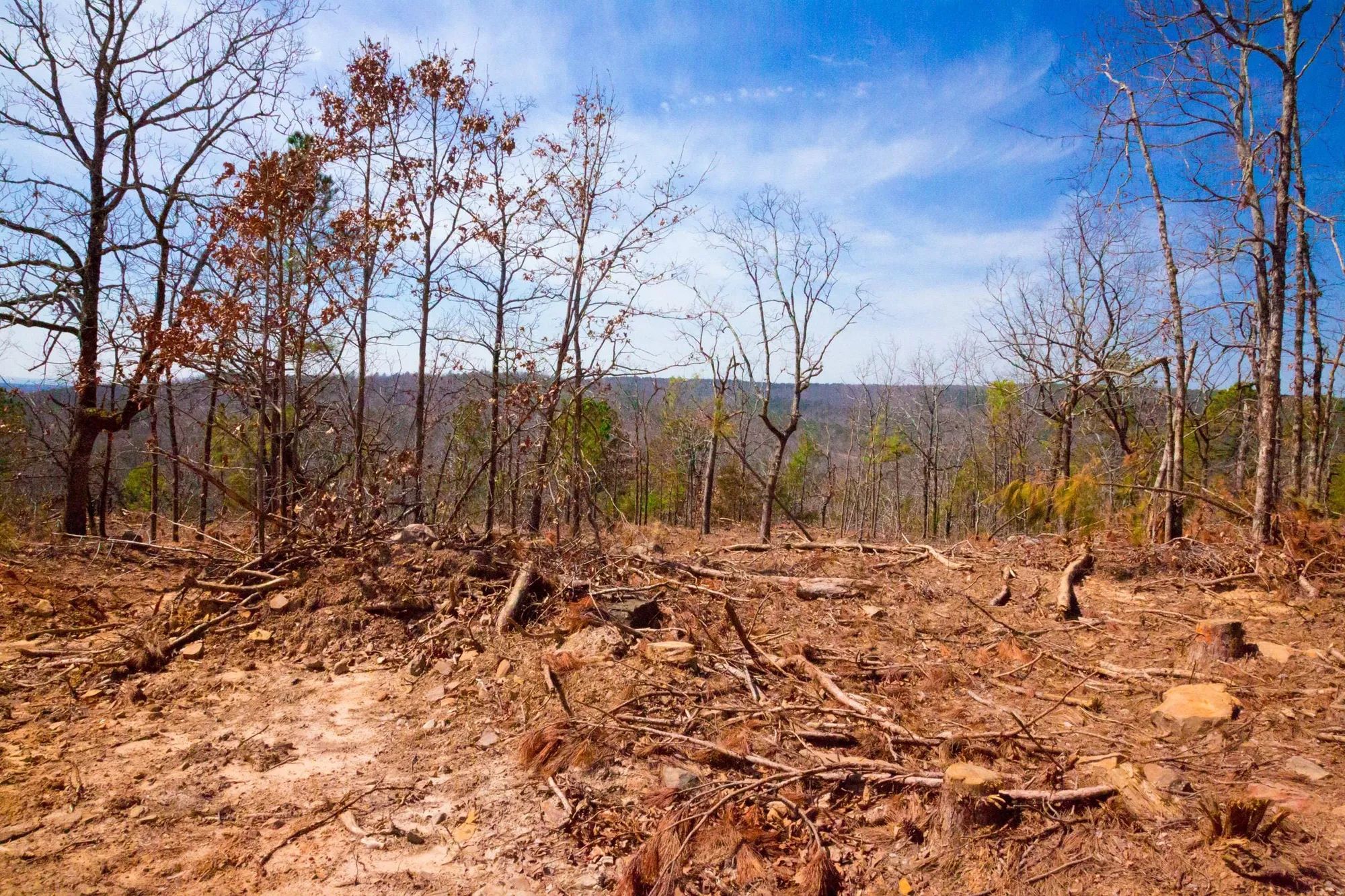 Stone Creek Phase II Tract 116 in Latimer County, OK
