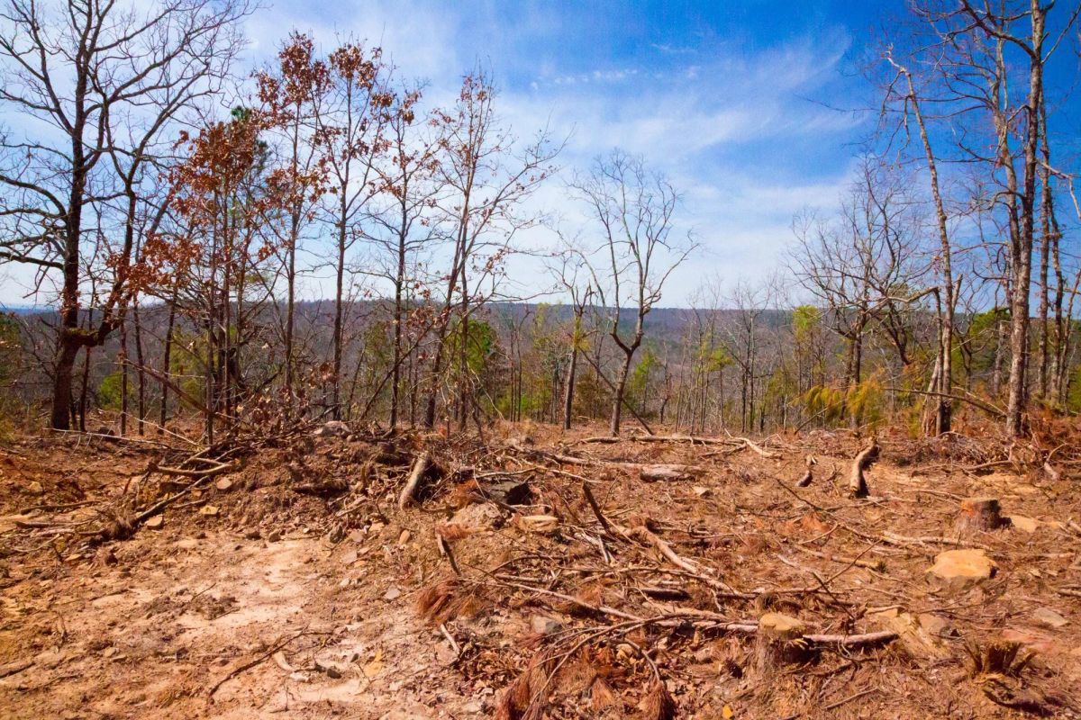 Stone Creek Phase II Tract 116 - Image 2