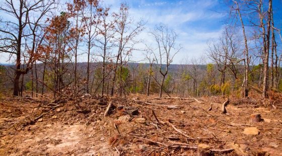 Stone Creek Phase II Tract 116 in Latimer County, OK