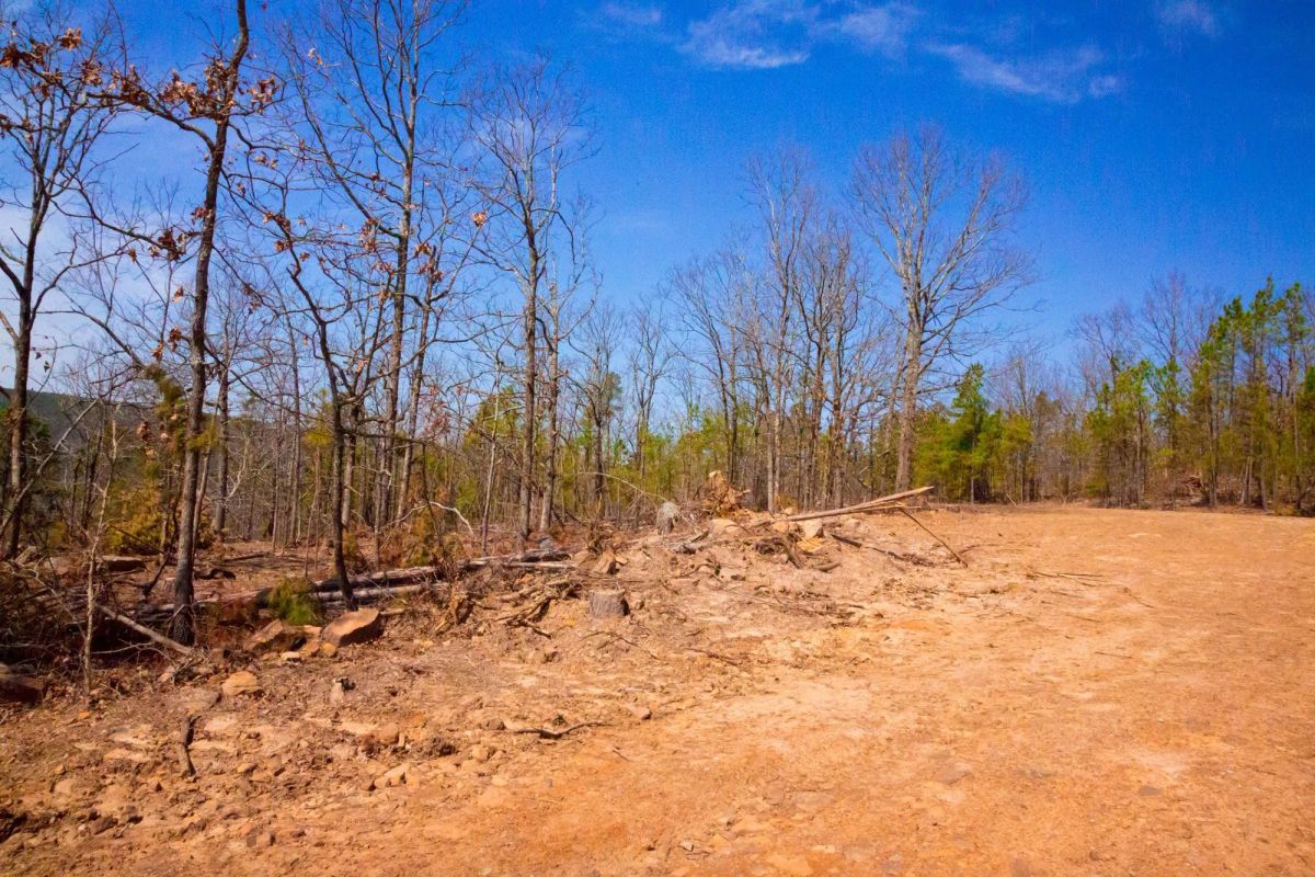 Stone Creek Phase II Tract 116 - Image 4
