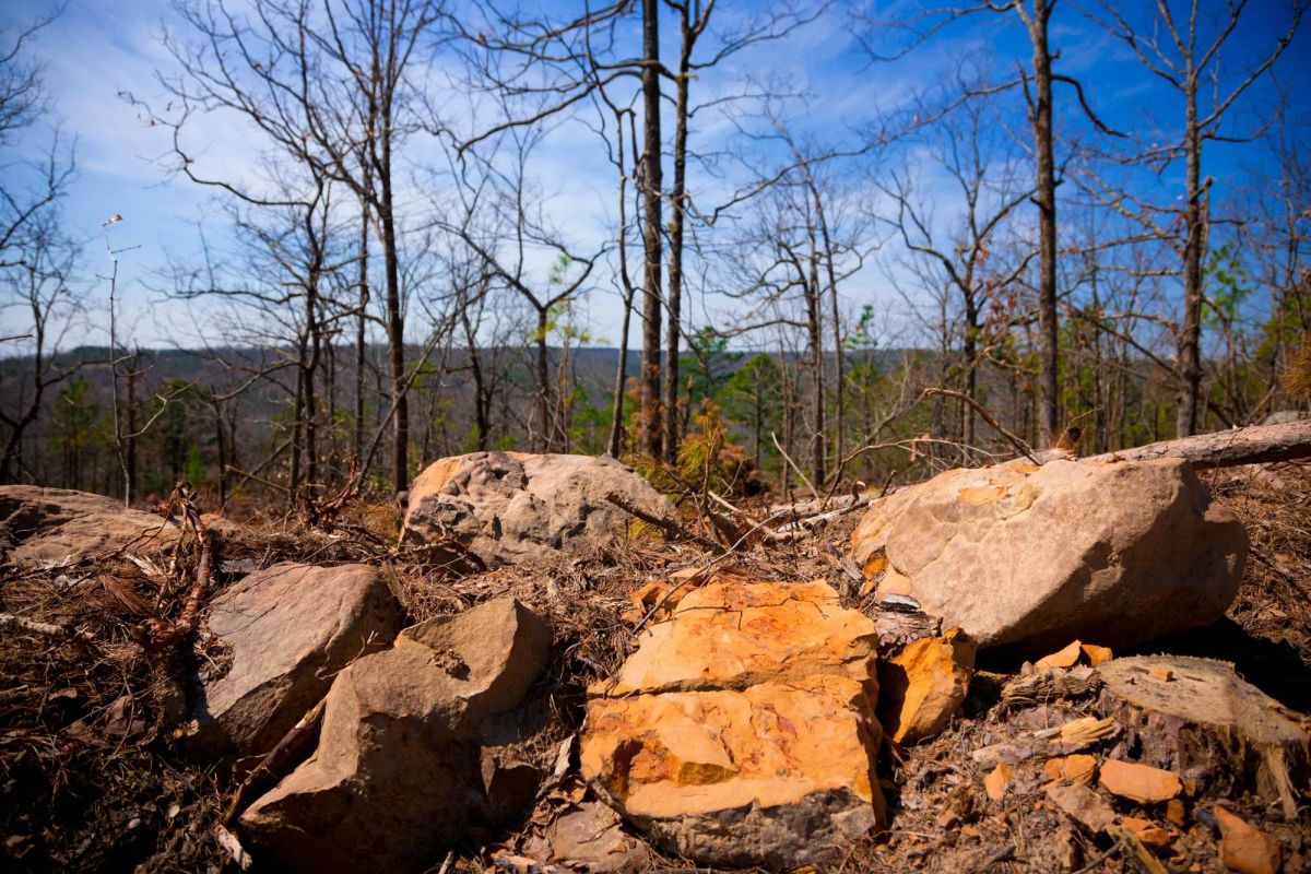 Decorative background for Stone Creek Phase II Tract 116 image 5