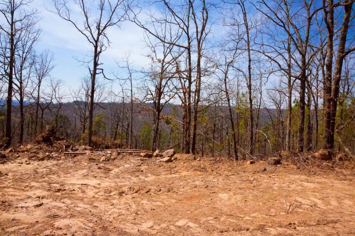 Decorative background for Stone Creek Phase II Tract 116 image 6