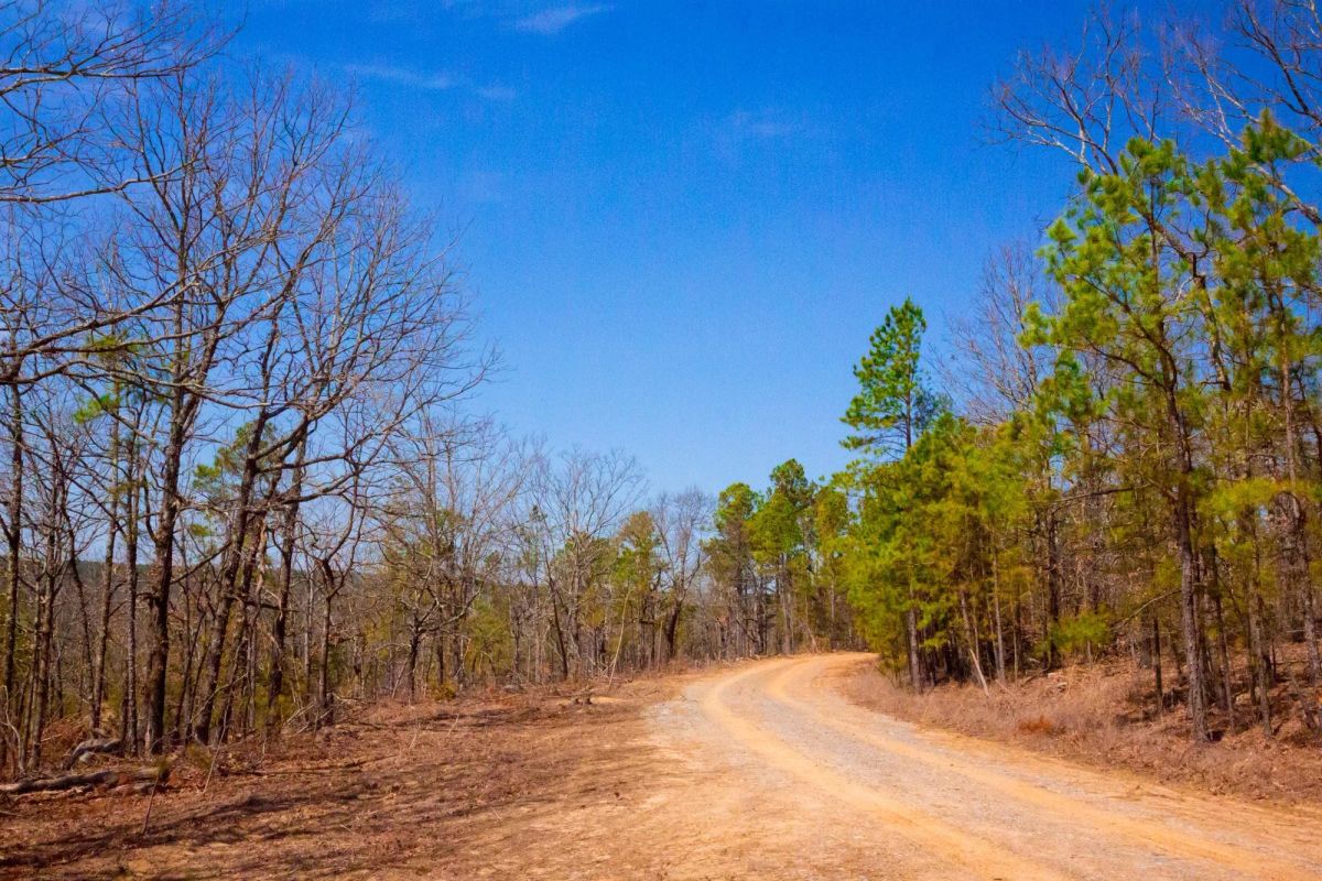 Decorative background for Stone Creek Phase II Tract 116 image 7