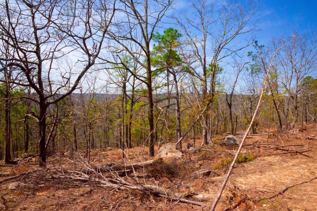 Decorative background for Stone Creek Phase II Tract 116 image 8
