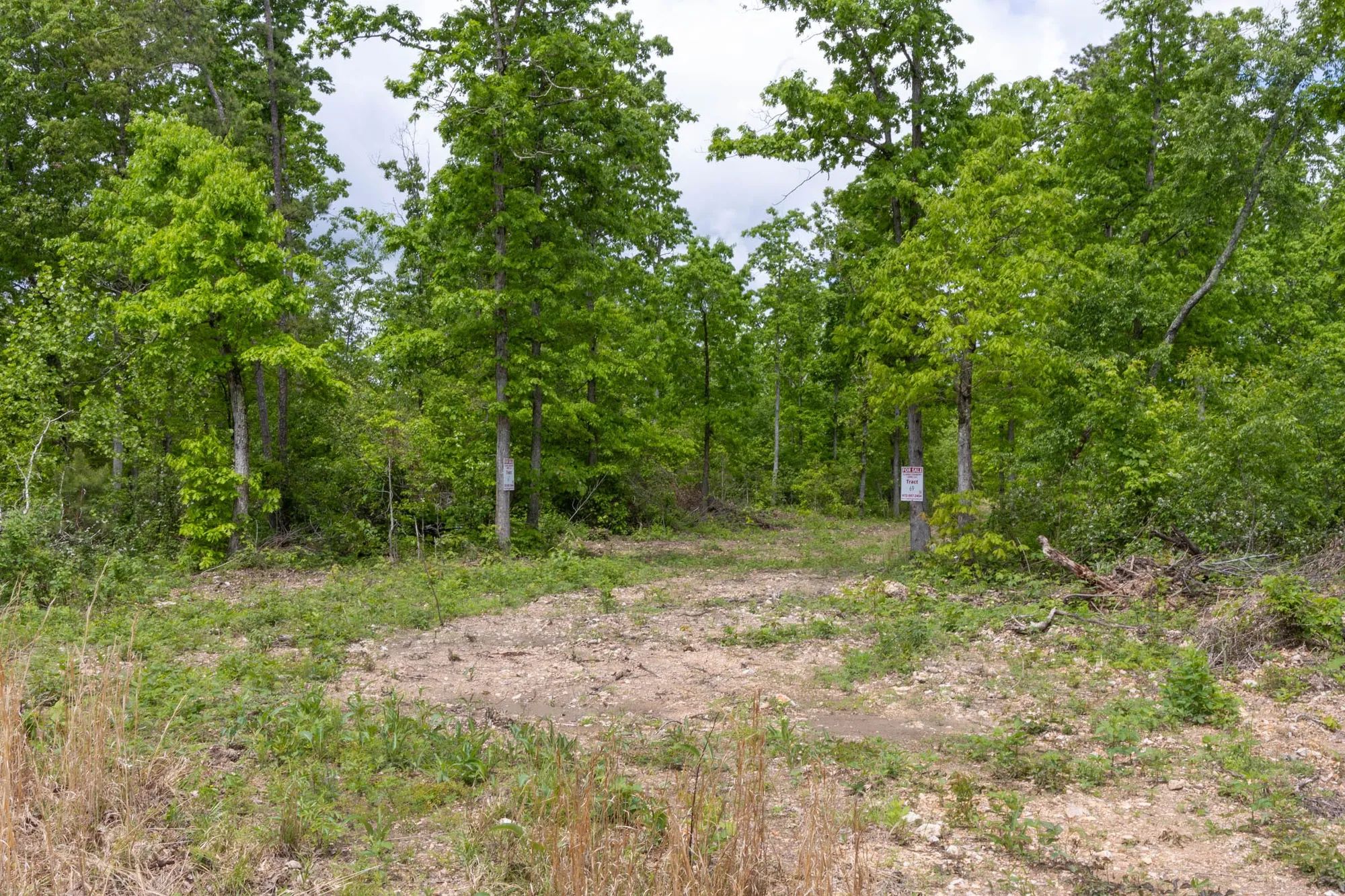 Sleepy Hollow Phase II Tract 67 in Texas County, MO