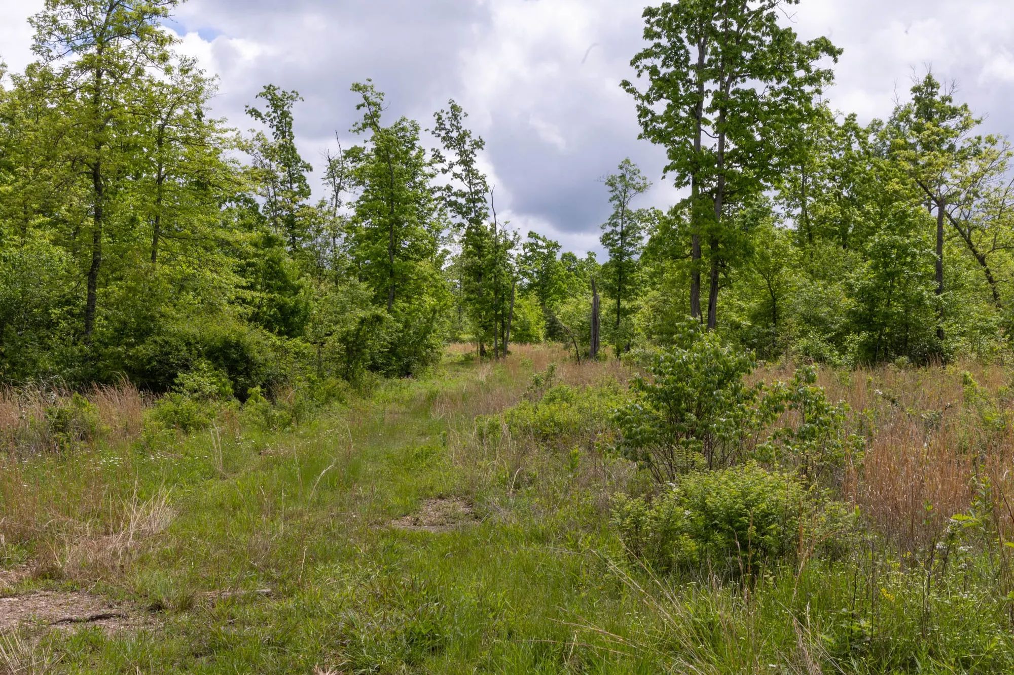 Sleepy Hollow Phase II Tract 67 in Texas County, MO