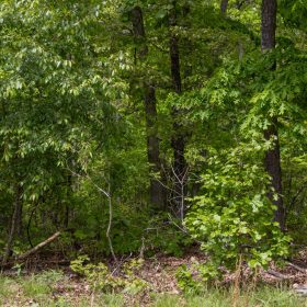 Sleepy Hollow Phase II Tract 67 in Texas County, MO