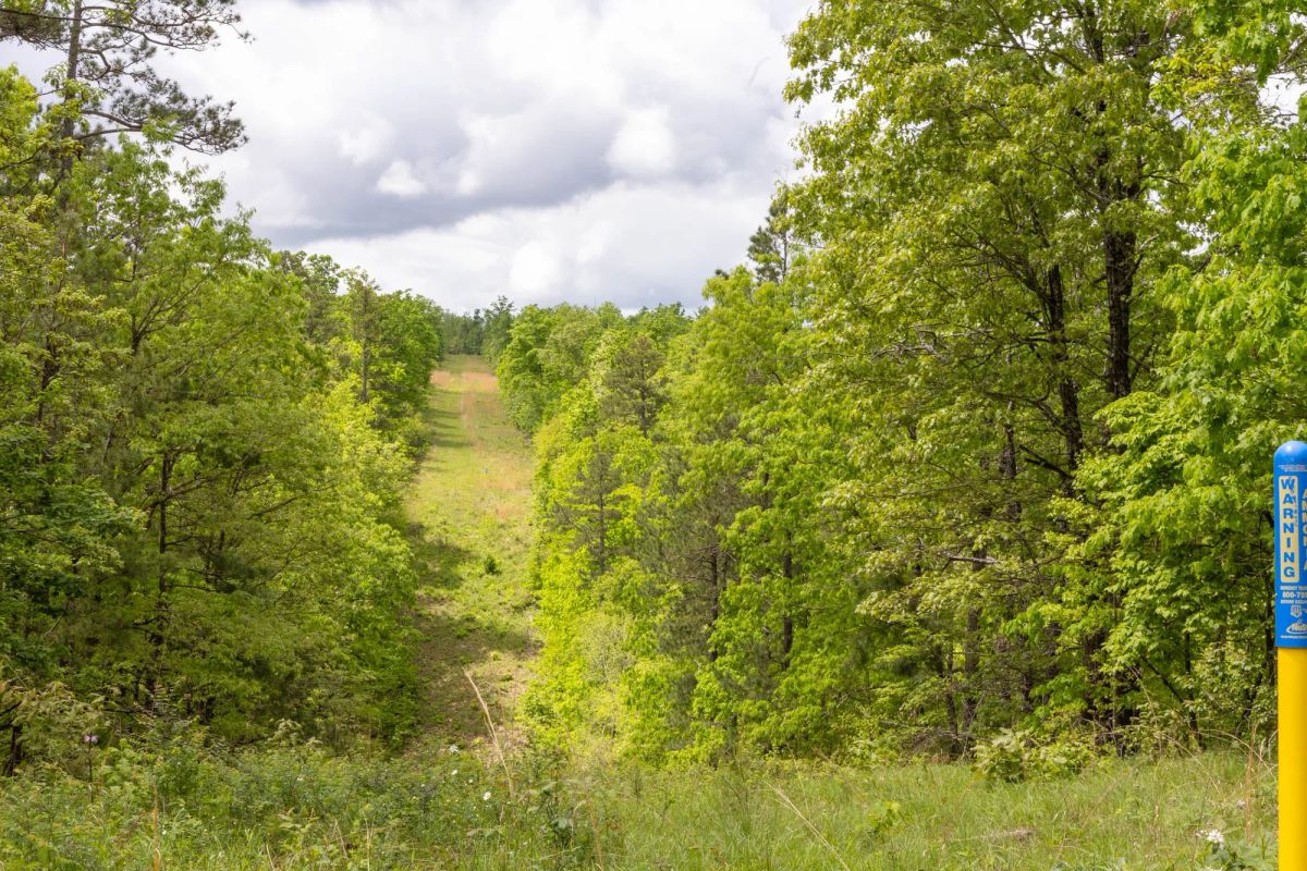 Decorative background for Sleepy Hollow Phase II Tract 67 image 5