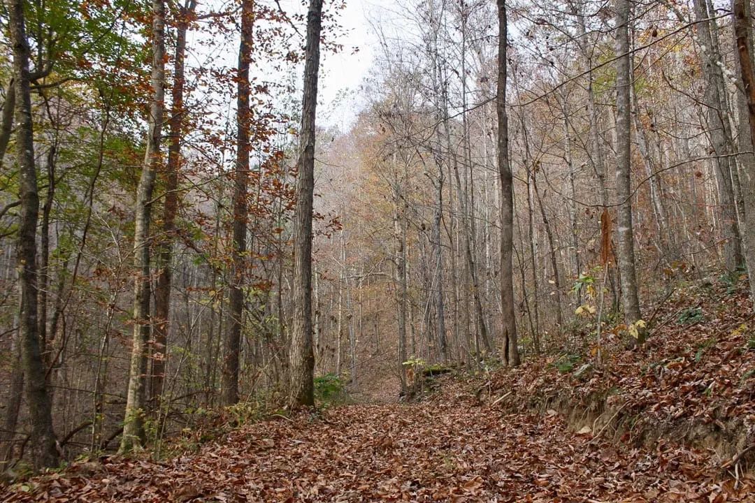 Autumn Ridge Tract 8 - Main image