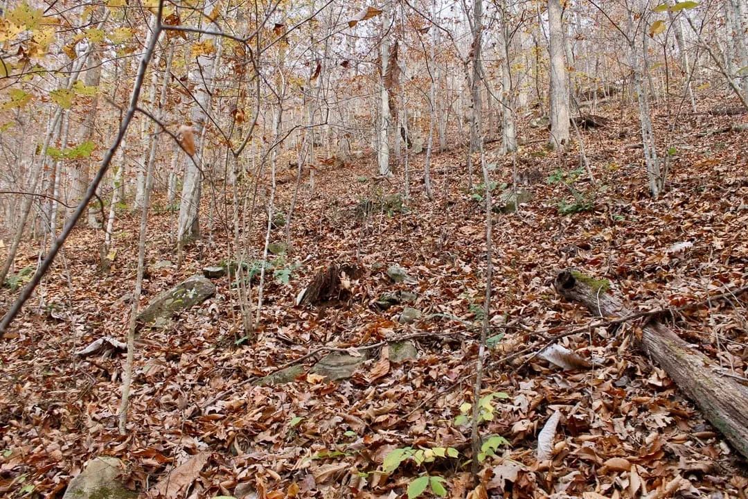 Decorative background for Autumn Ridge Tract 8 image 11