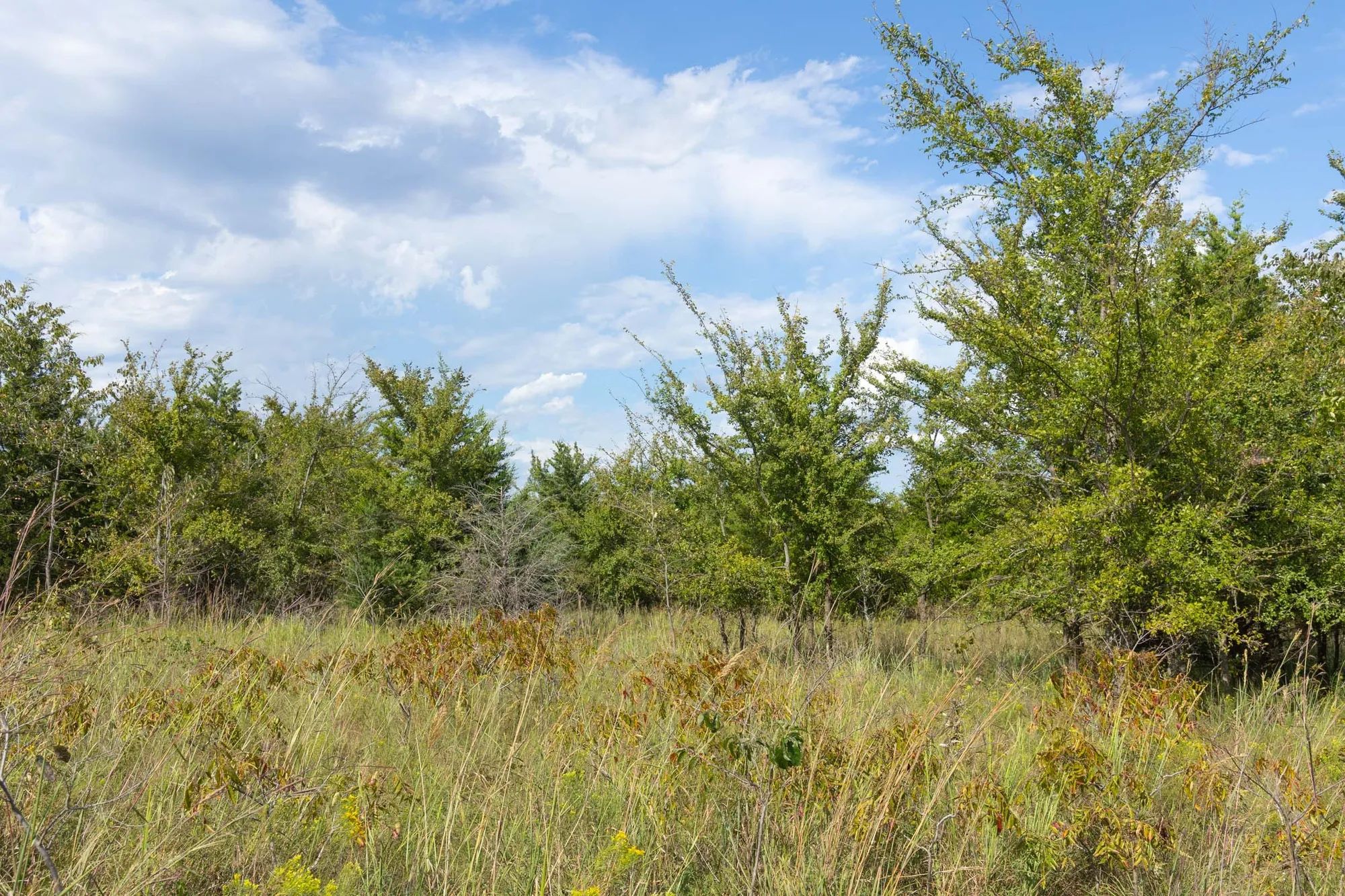 Reserves At Cattail Cove Phase II Tract 96 in Pittsburg County, OK