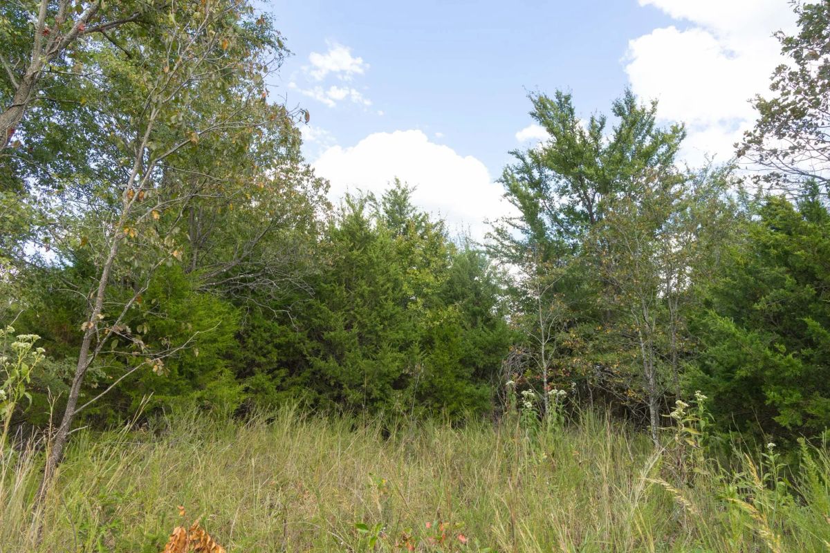 Decorative background for Reserves At Cattail Cove Phase II Tract 96 image 9