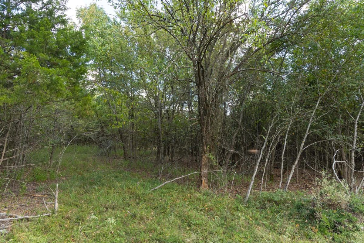 Decorative background for Reserves At Cattail Cove Phase II Tract 96 image 10
