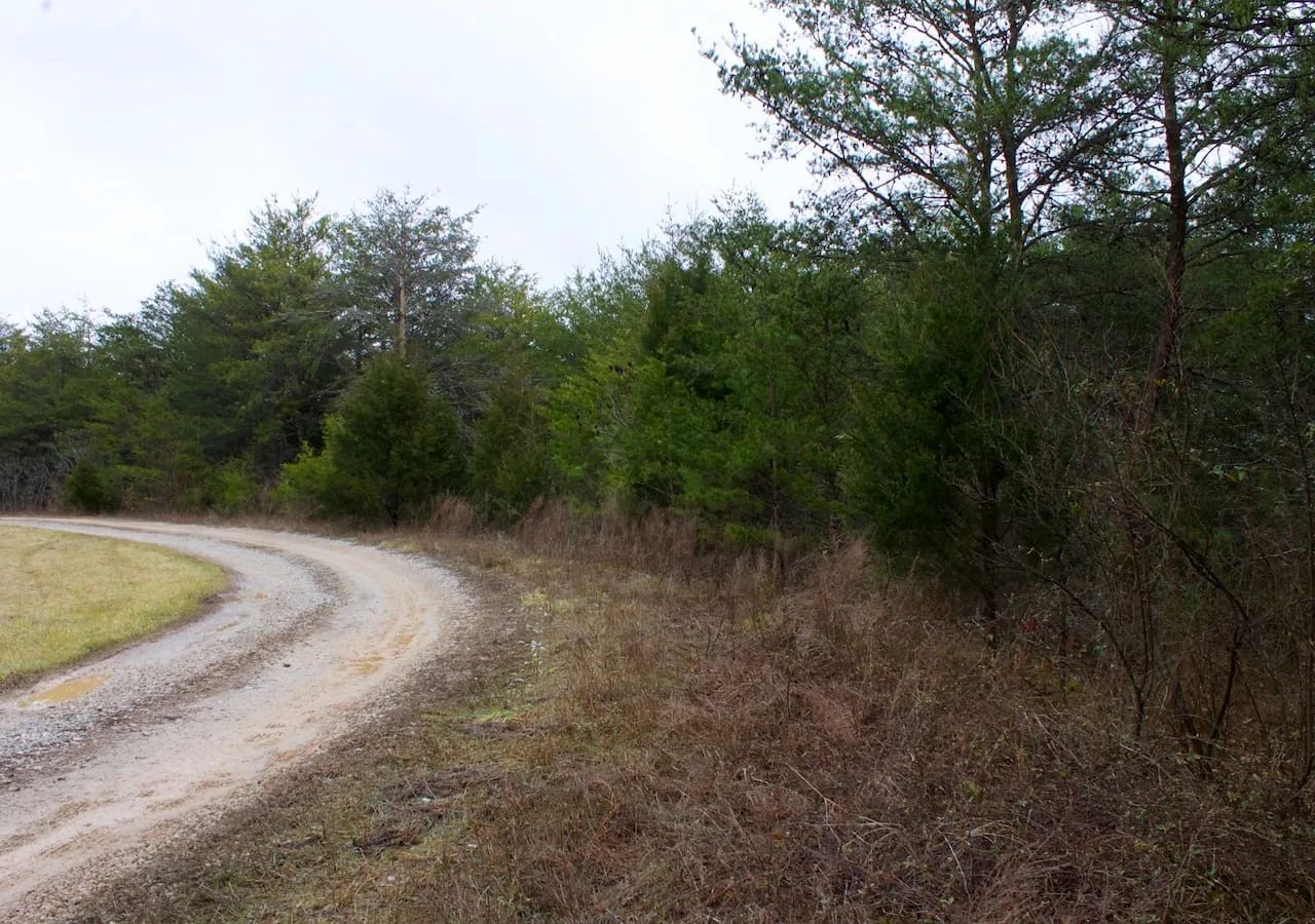 Majestic Rock Ranch Tract 1 in Rockcastle County, KY