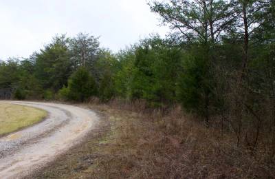 Majestic Rock Ranch Tract 1