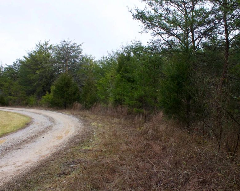 Majestic Rock Ranch Tract 1 in Rockcastle County, KY