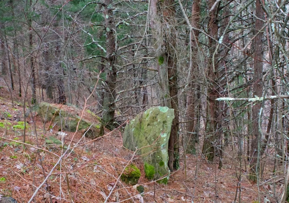 Majestic Rock Ranch Tract 1 - Image 2