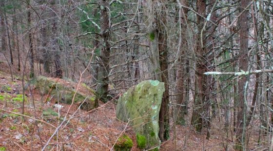 Majestic Rock Ranch Tract 1 in Rockcastle County, KY