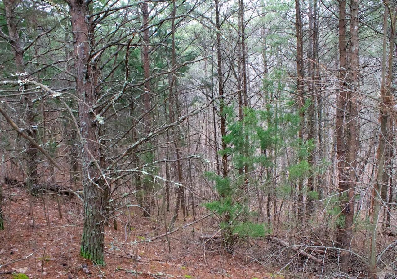 Majestic Rock Ranch Tract 1 in Rockcastle County, KY