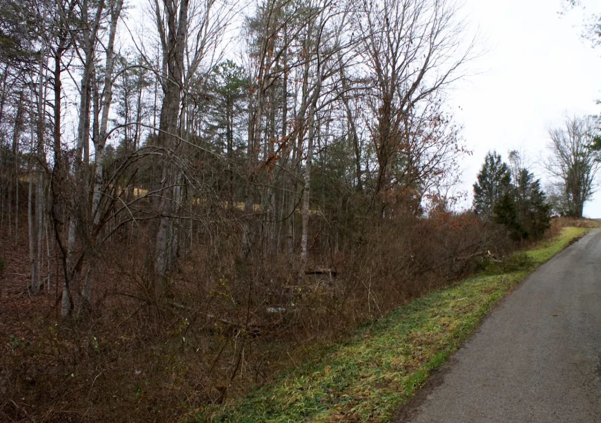 Decorative background for Majestic Rock Ranch Tract 1 image 9