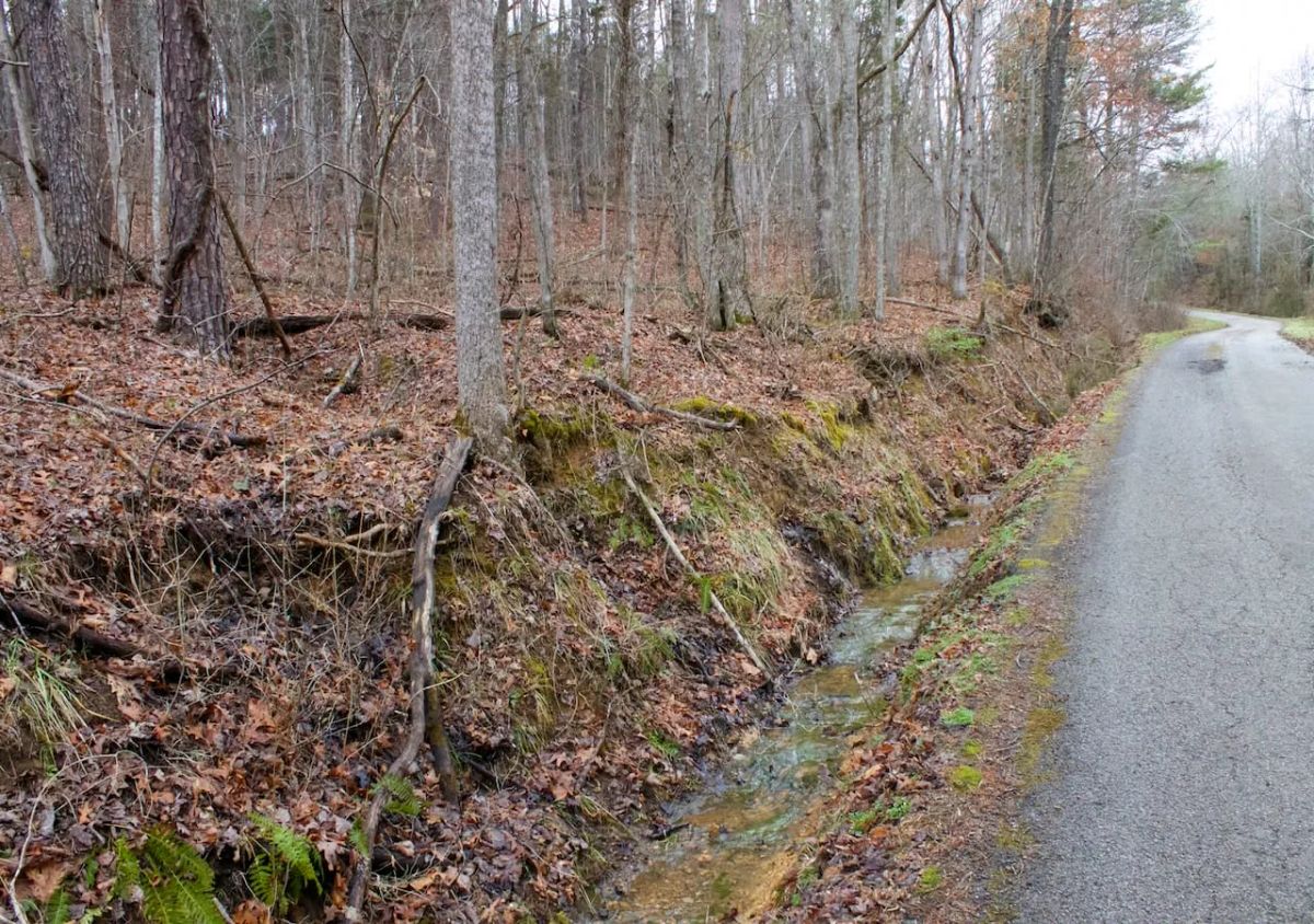 Decorative background for Majestic Rock Ranch Tract 1 image 12