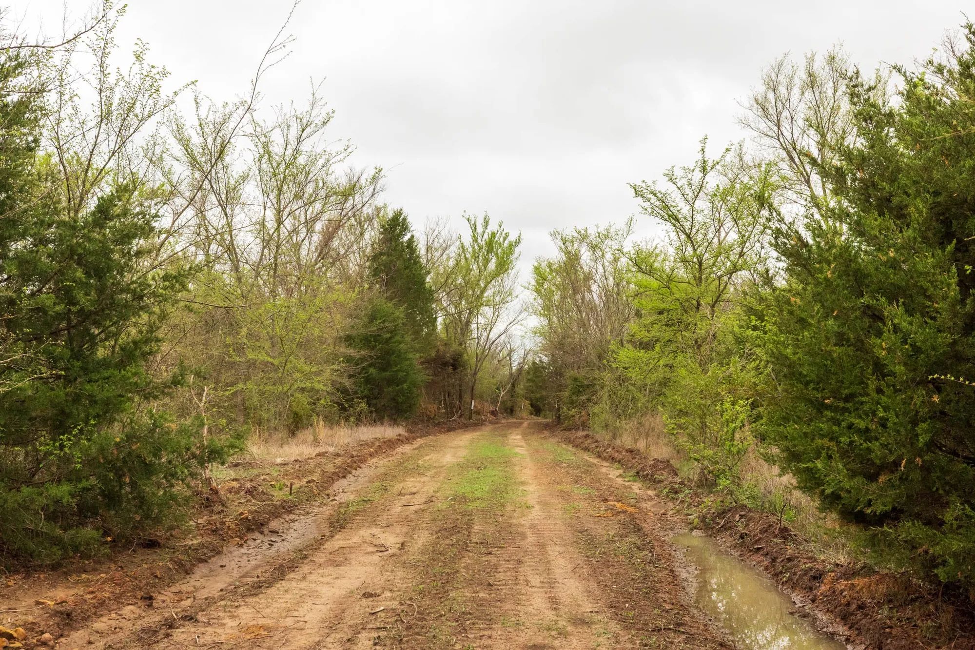 Moonrise Meadows Tract 11 in Okfuskee County, OK