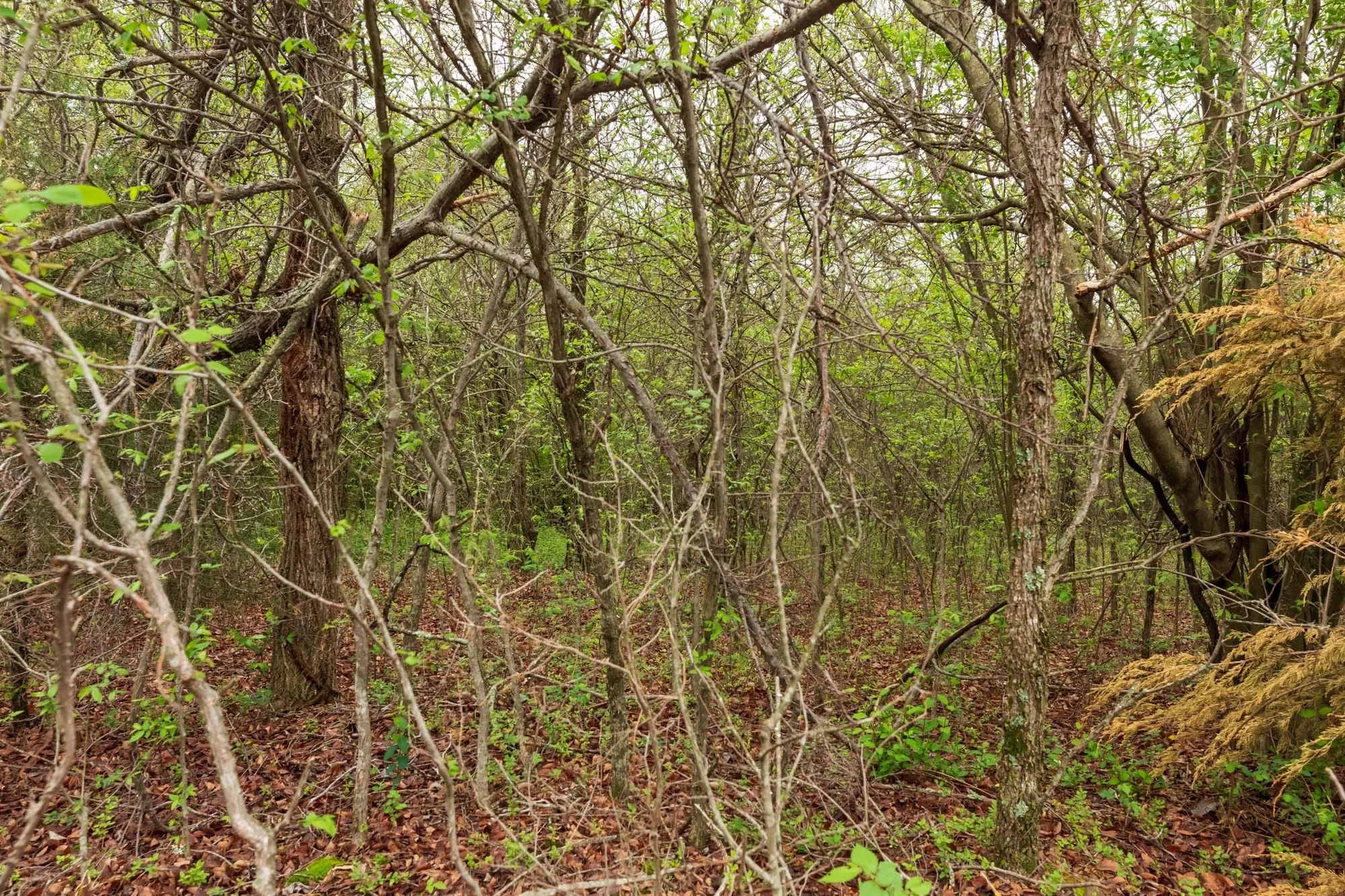 Moonrise Meadows Tract 11 in Okfuskee County, OK