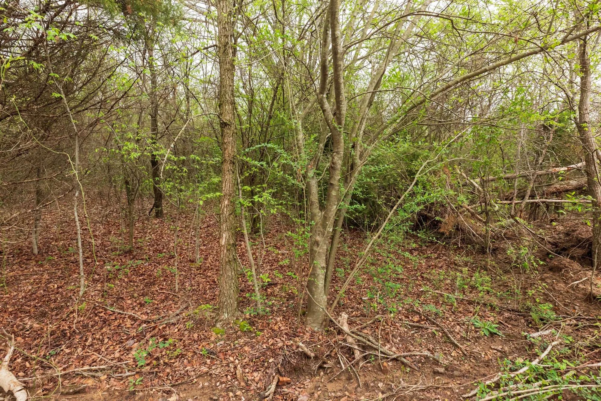 Moonrise Meadows Tract 11 in Okfuskee County, OK