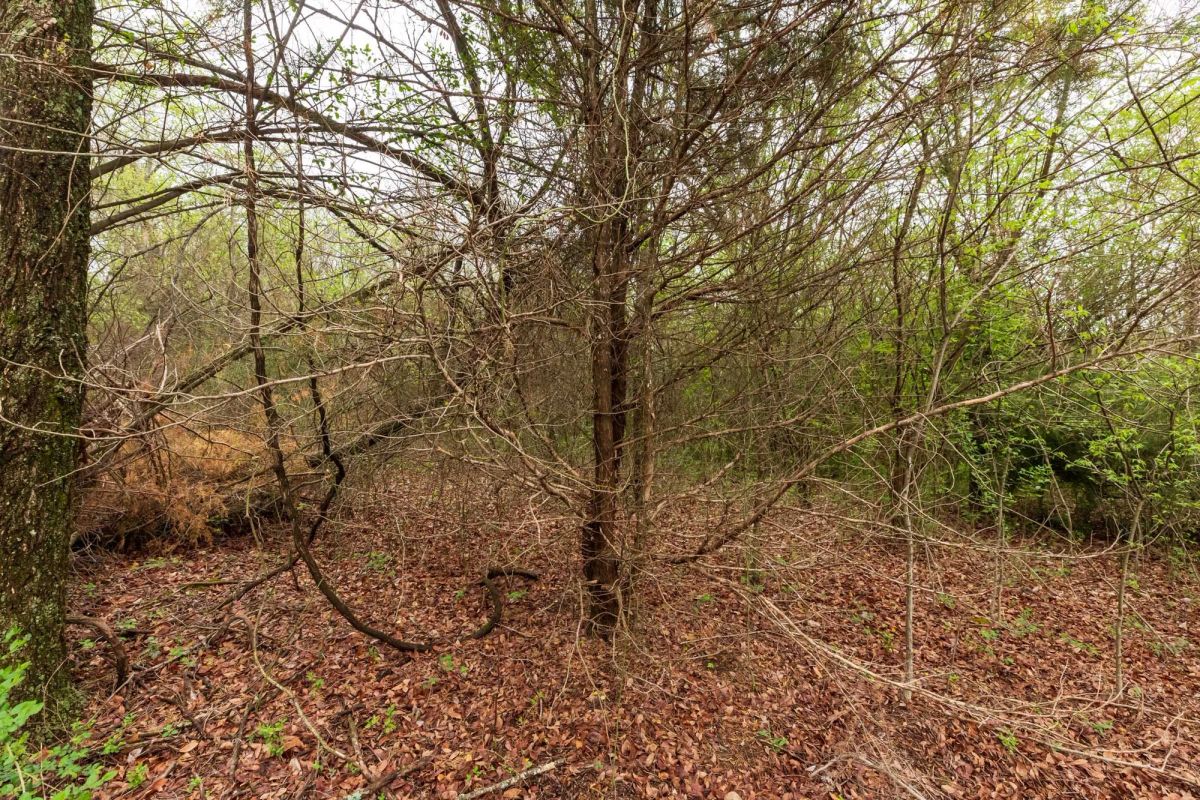 Decorative background for Moonrise Meadows Tract 11 image 7