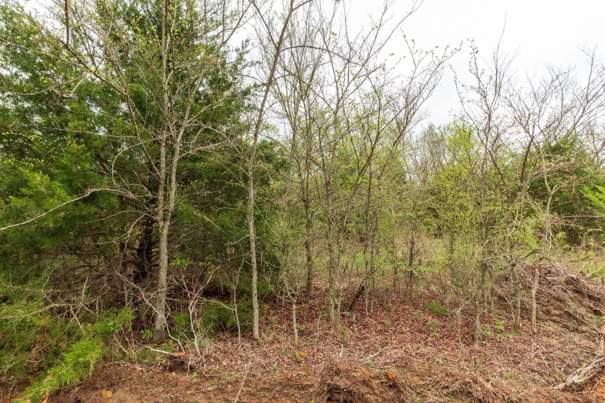 Decorative background for Moonrise Meadows Tract 11 image 8