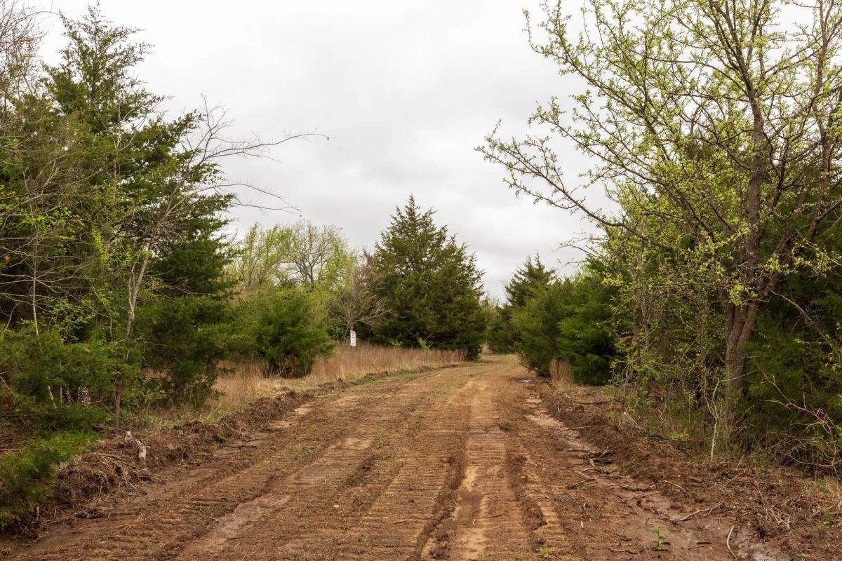 Decorative background for Moonrise Meadows Tract 11 image 11